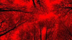 Lire la suite à propos de l’article « Ecofascisme, l’extrême droite qui vient. » La chronique de Raphaël LLorca